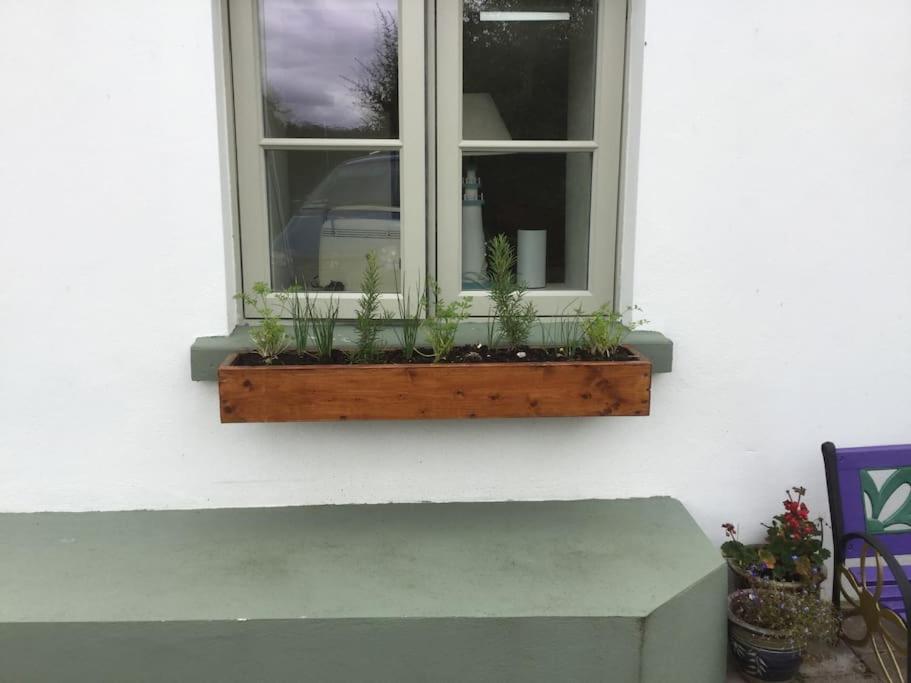 An Bothán-Cosy Cottage in the Cooley Mountains Dundalk Esterno foto